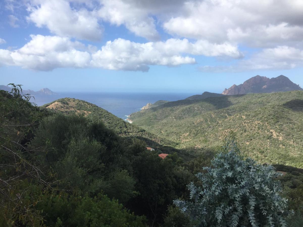Appartement Les Asphodèles