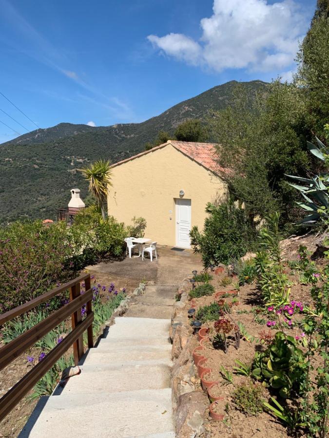 Appartement Les Asphodèles Partinello