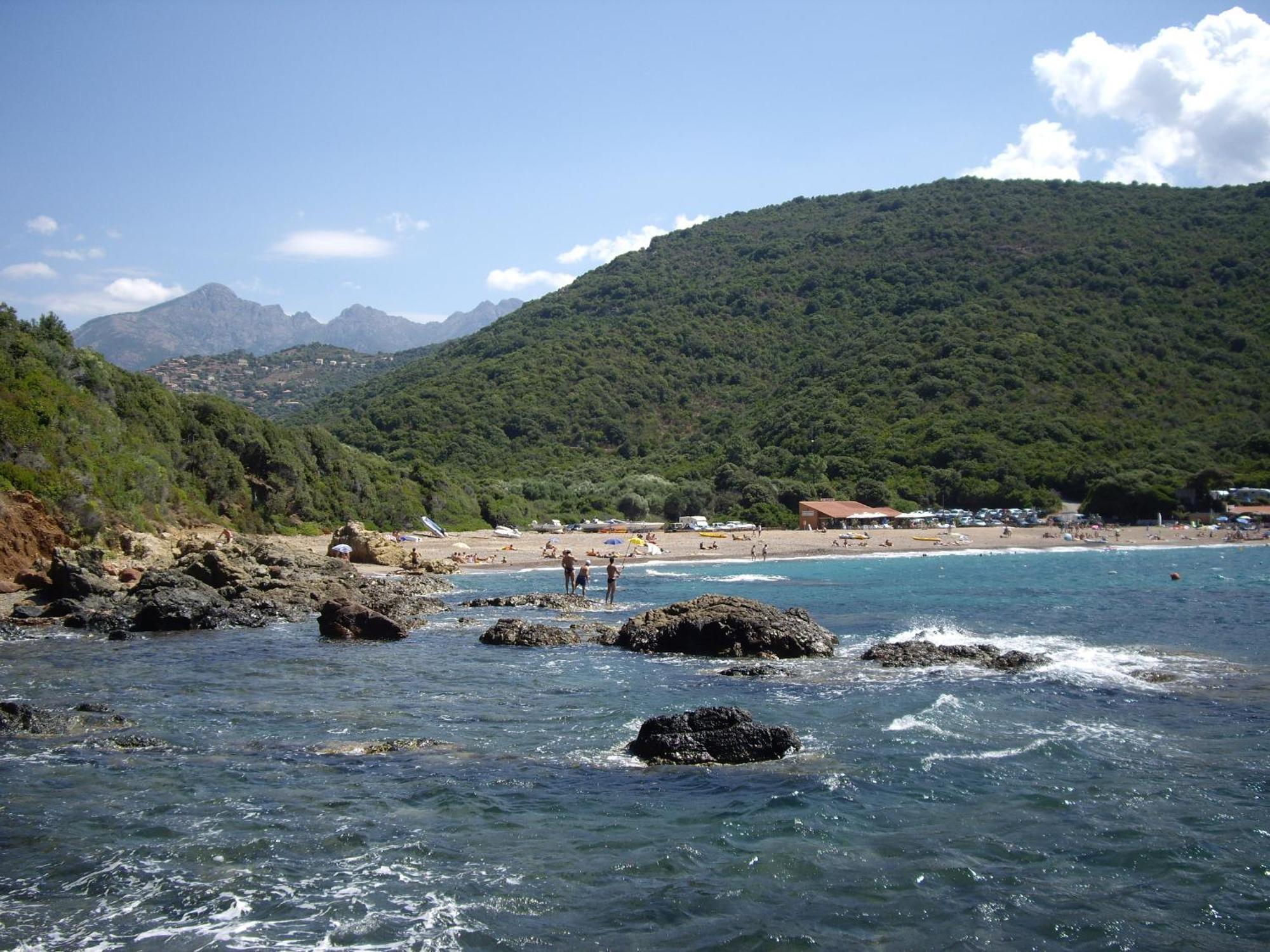 Les Asphodèles * Partinello