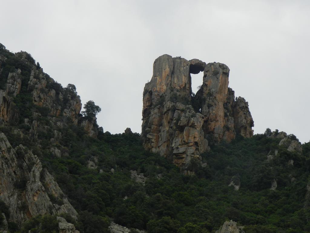 Les Asphodèles Appartement