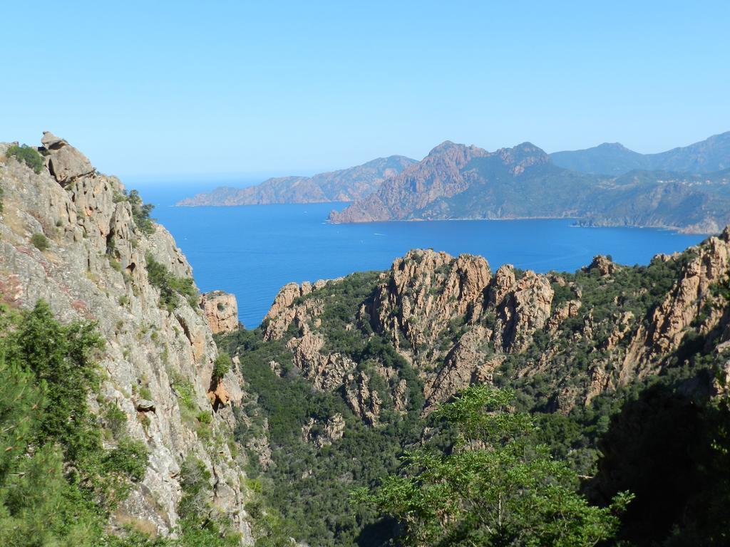 Les Asphodèles