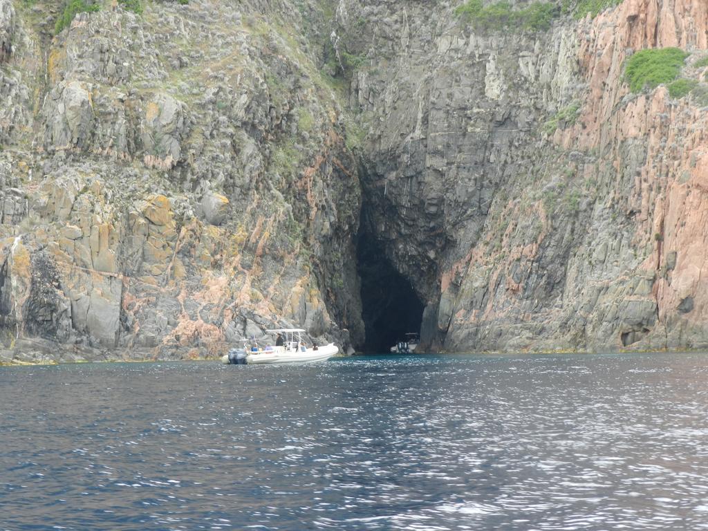 Les Asphodèles Partinello