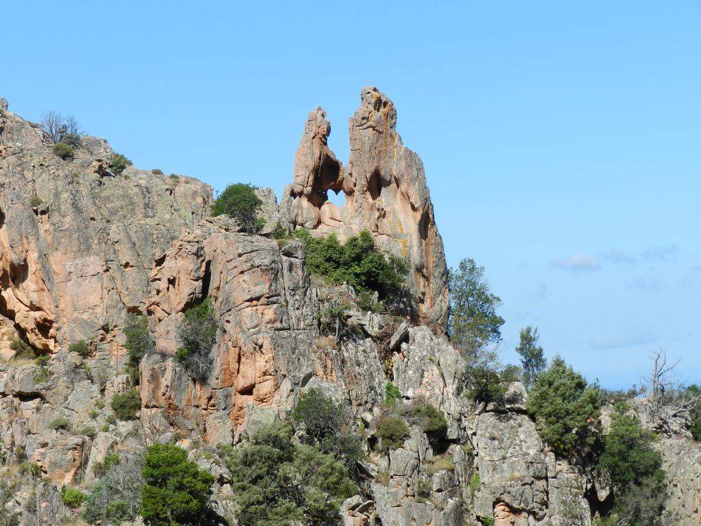 Les Asphodèles *